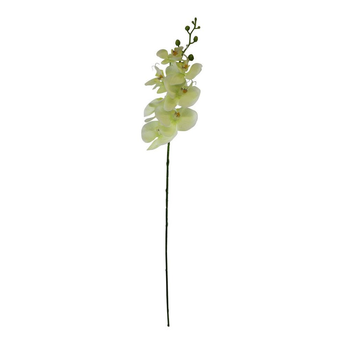 Cream Orchid Spray, Faux Flowers, 85cm - Professional Quality, Polyester & Plastic Stem