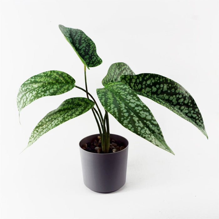 35cm Artificial Spotted Plant in Planter