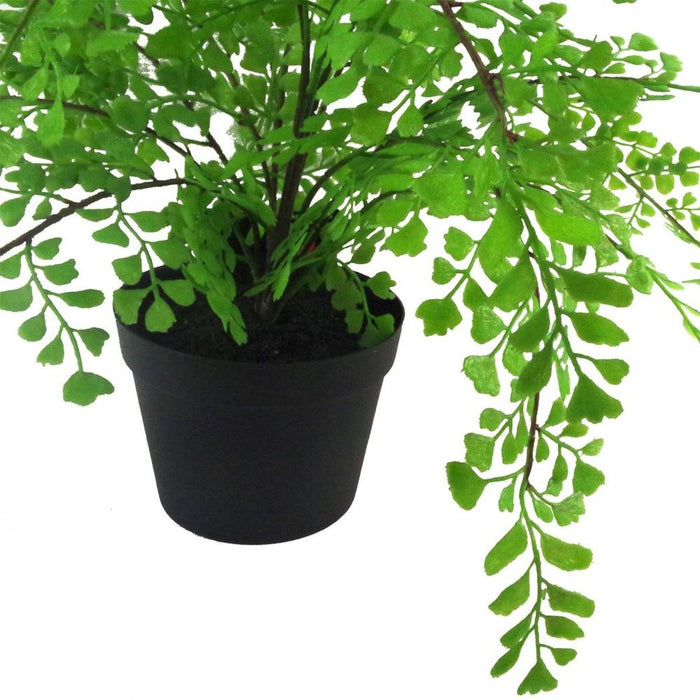 35cm Artificial Potted Fern (Southern Maidenhair Fern) - Luxurious Quality