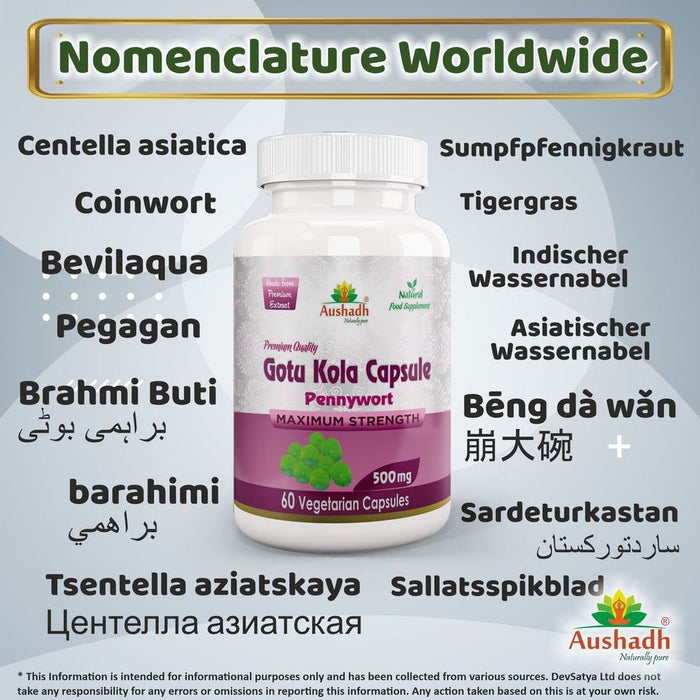 Premium Gotukola Capsules - Powerful Centella asiatica Supplement, Enhances Memory & Reduces Stress