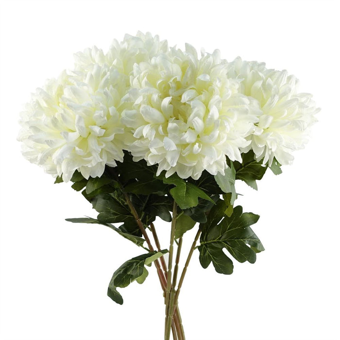 6-Pack XL Silk White Reflex Chrysanthemum - 75cm - Perfect for Arrangements