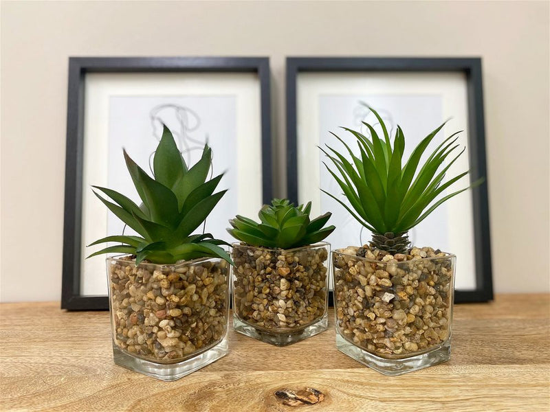 Realistic Faux Succulents in Glass Pots