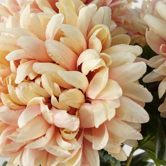 6-Pack 75cm XL Pink Reflex Chrysanthemum - Silk Petals for Stunning Arrangements