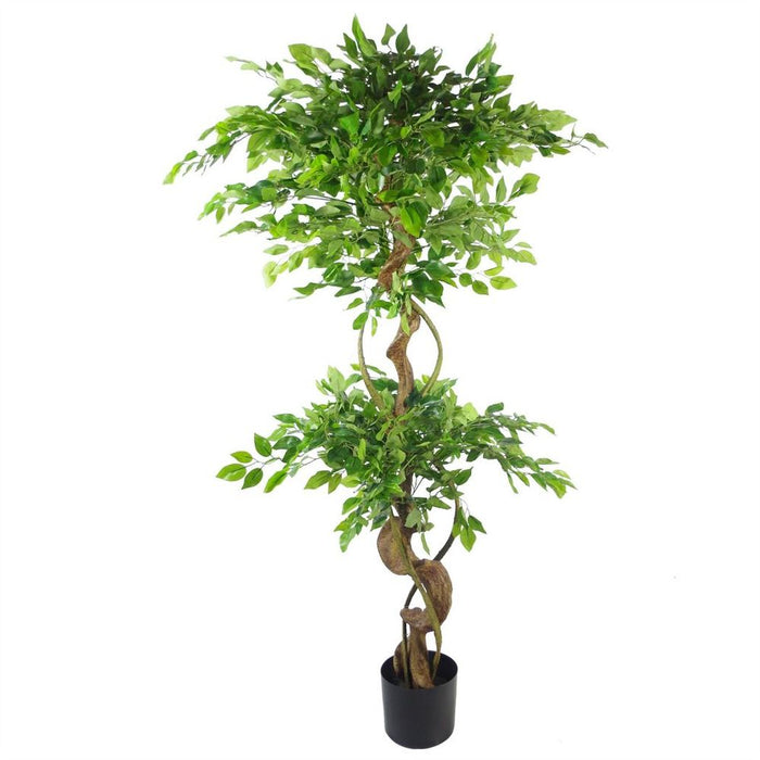 150cm Twisted Trunk Artificial Ficus Tree with Black Planter - Sophisticated Elegance for Any Space