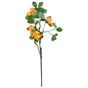 https://images.avasam.com/?url=https://avasamnew.s3.amazonaws.com/product/GB010188/S0671589500/5.png&w=500