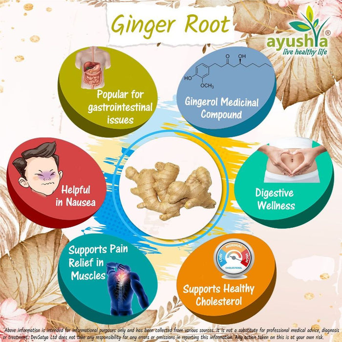 Ginger Root (Sunthi) Capsule - Best Quality, Health Benefits, Aromatic Spice - Buy Now!