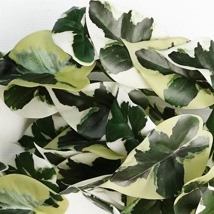 40cm Trailing Variegated Marble Pothos - Realistic Artificial Plant