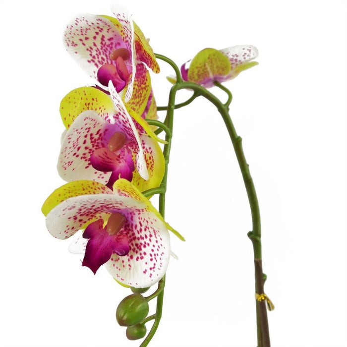 Premium Quality 46cm Artificial Orchid in Harlequin Pink - Silver Pot