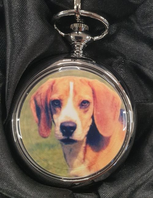 Boxx Picture Pocket watch Beagle Dog P5061.94 — InStock