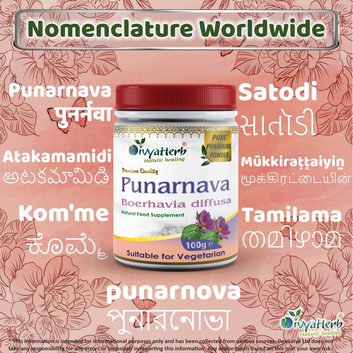 Punarnava Powder (Boerhavia Diffusa) - Renew and Replenish Your Body with this Ayurvedic Herb