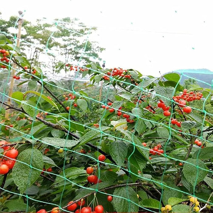 Bird Netting for Garden 2 PACK, 10x2M Ft. Heavy Duty. Protect Plants, Peas, Tomatoes