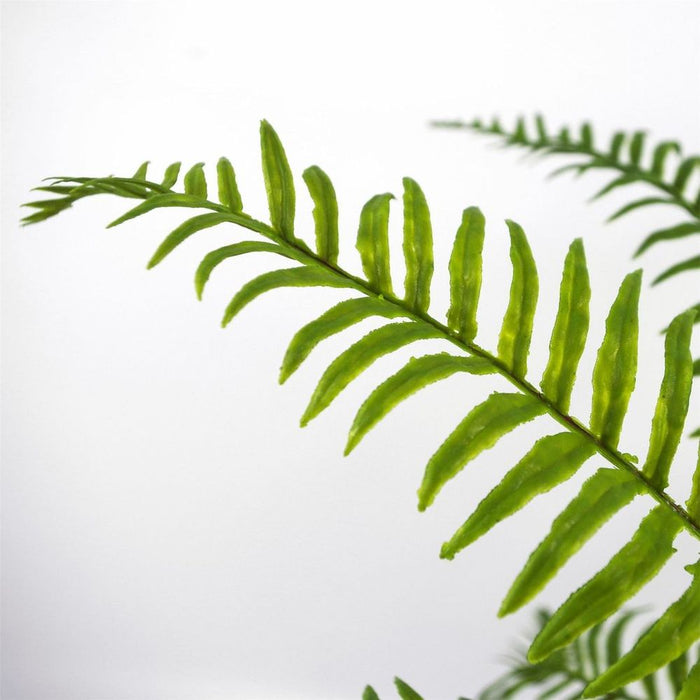 50cm Artificial Boston Fronded Fern Plant