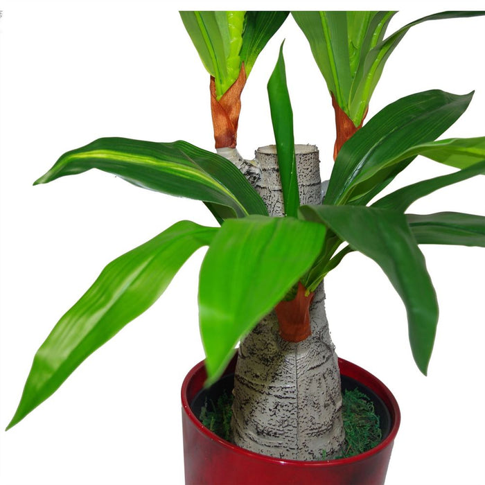 75cm Artificial Dracaena Plant - Wide Trunk Triple Branch Large