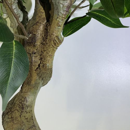 100cm Leaf Realistic Artificial Ficus Tree / Plant Bush Ficus Silver Curve Planter
