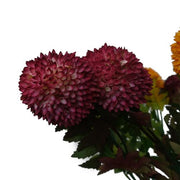 https://images.avasam.com/?url=https://avasamnew.s3.amazonaws.com/product/GB010188/S0671589512/3.png&w=500