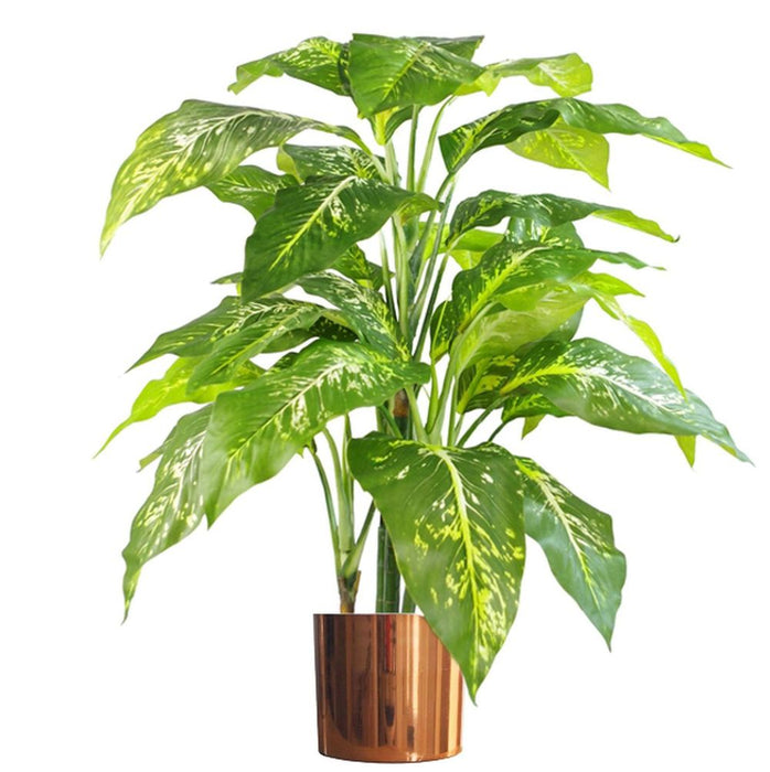 Lifelike 100cm Large Fox's Aglaonema Tree with Metal Planter - High Quality Artificial Plant