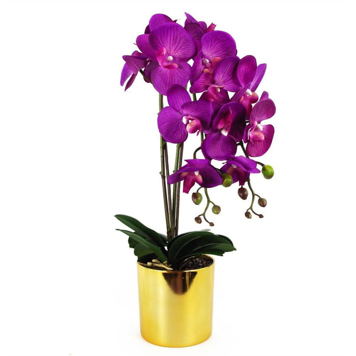 52cm Artificial Orchid Large - Purple / Gold