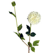 https://images.avasam.com/?url=https://avasamnew.s3.amazonaws.com/product/GB010188/S0671589505/2.png&w=500