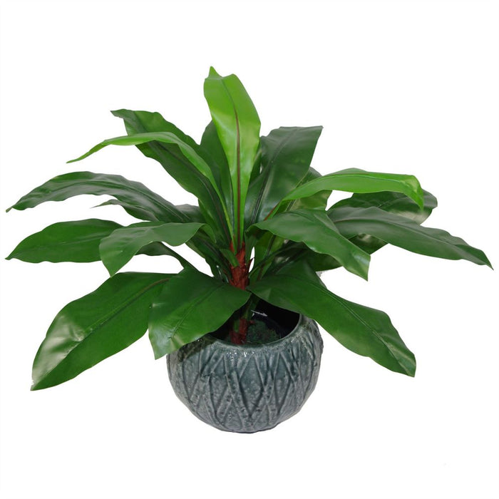 High-Quality 60cm Artificial Bird's Nest Fern Plant - Lush, Bushy, and Realistic