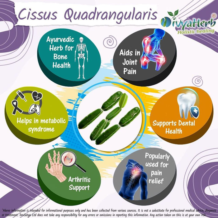 Cissus Quadrangularis Powder - Ayurvedic Superfood for Optimal Wellness