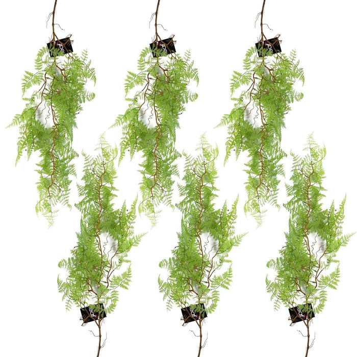 6-Pack 100cm Artificial Hanging Maidenhair Fern - Light Green