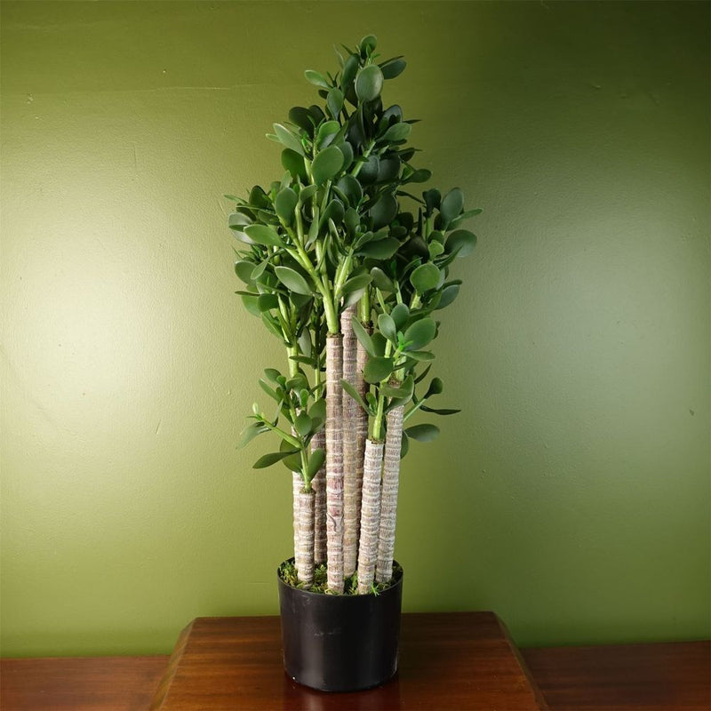 Deluxe 75cm Green Jade Plant: Exquisite, Realistic, Elegant, Sophisticated, Perfect for Any Space.