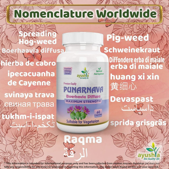 Punarnava Capsule (Boerhavia Diffusa) - Rejuvenate with this Potent Ayurvedic Herb - High Quality & All-Natural