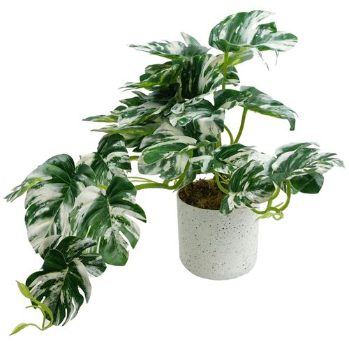 https://images.avasam.com/?url=https://avasamnew.s3.amazonaws.com/product/GB010188/S0671599760/main.png&w=500