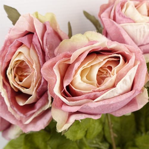 https://images.avasam.com/?url=https://avasamnew.s3.amazonaws.com/product/GB010188/S0671589506/6.png&w=500