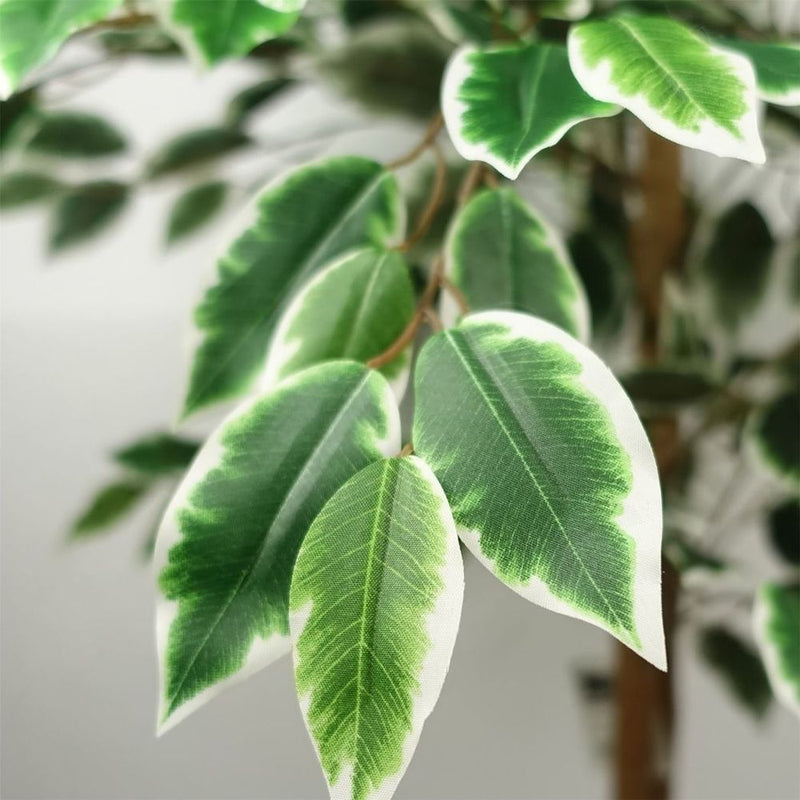 Premium 150cm Silk Ficus Tree - Lifelike & Low Maintenance!