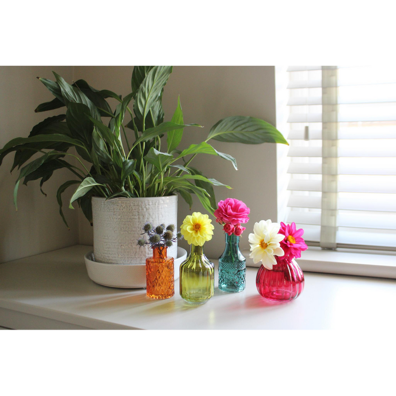 Premium Boho Posy Vase Bottles - Set of 4 | High-quality Glass | Stunning Décor