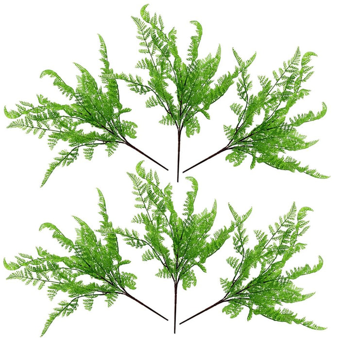 6 x 50cm Southern Wood Fern Bush Dark Green Plant