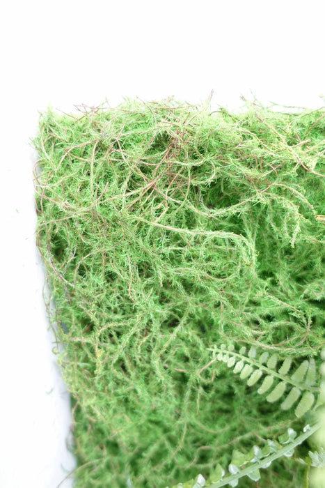 60cm Artificial Natural Look GreenWall Ferns