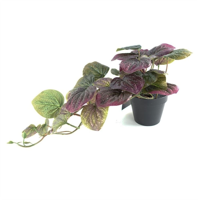 35cm Artificial Trailing Purple Potted Pothos Plant Realistic