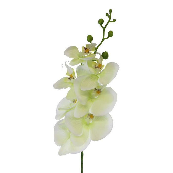 Cream Orchid Spray, Faux Flowers, 85cm - Professional Quality, Polyester & Plastic Stem