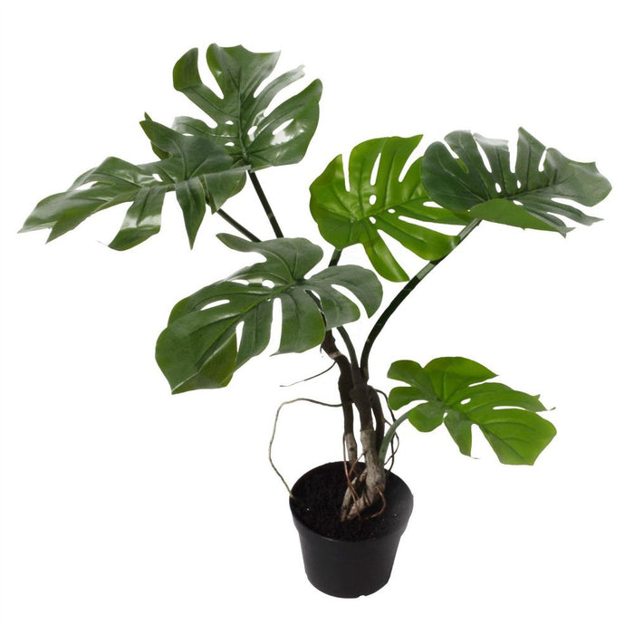 Premium 65cm Artificial Twisted Stem Monstera Plant