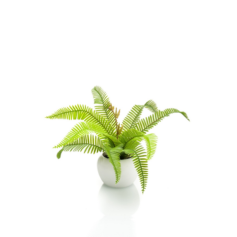 Artificial Boston Fern Potted Plant Green 17cm - Lifelike Indoor Decor - No Maintenance Required