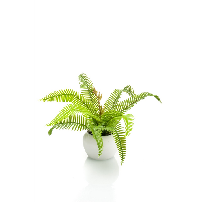 Artificial Boston Fern Potted Plant Green 17cm - Lifelike Indoor Decor - No Maintenance Required