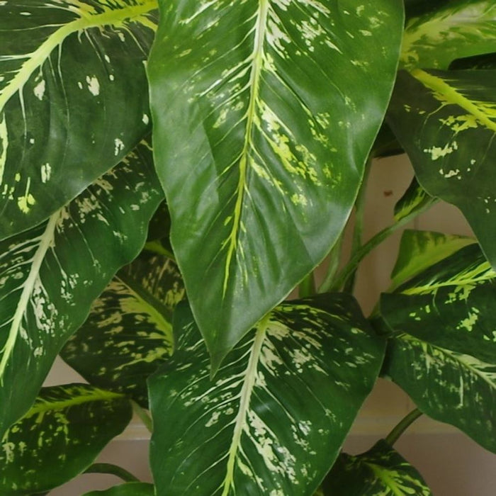 100cm Large Fox's Aglaonema (Spotted Evergreen) Tree Artificial Plant with Copper Metal Planter