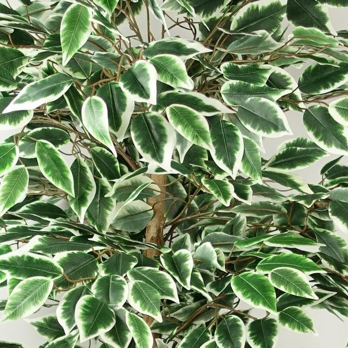 Premium 150cm Ficus Tree - 1008 Silk Leaves - Realistic & Maintenance-Free