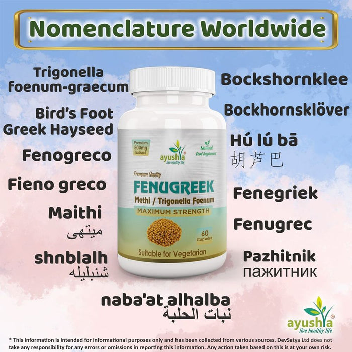 Fenugreek Capsule - High-Quality, Ancient Herbal Supplement for Health Benefits - Boost Immunity, Improve Digestion & More