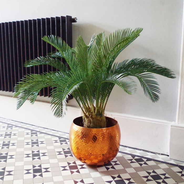 Premium 80cm Artificial Cycas Palm Plant - Lifelike Tropical Tree