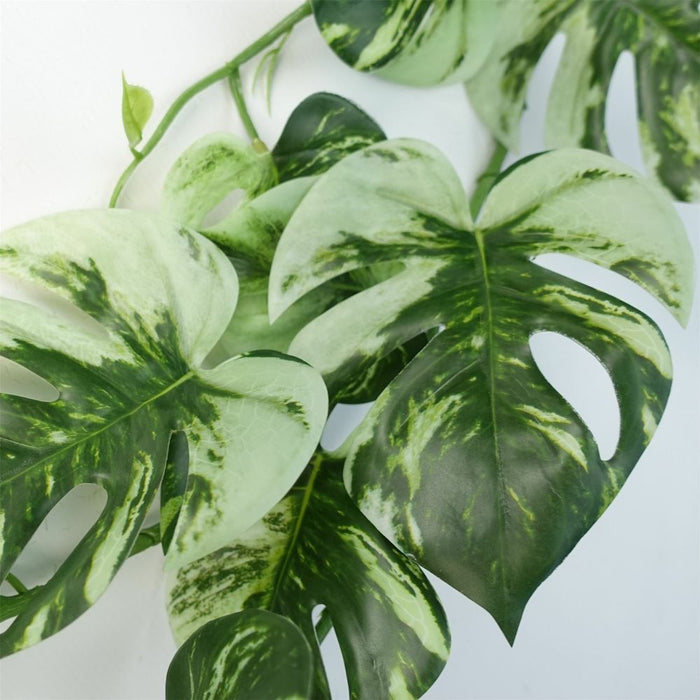 180cm Artificial Trailing Hanging Variegated Monstera Plant Realistic