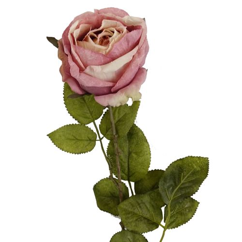 https://images.avasam.com/?url=https://avasamnew.s3.amazonaws.com/product/GB010188/S0671589506/4.png&w=500