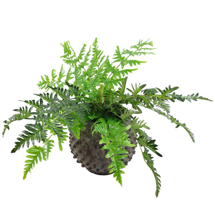 50cm Luxury Fern Plant - Realistic, High Quality Artificial Evergreen - Leaf Design