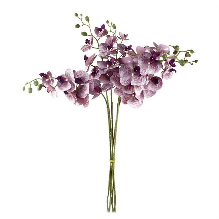 Pack of 6 x 100cm Artificial Phalaenopsis Orchid Purple Stem - 42 Flowers