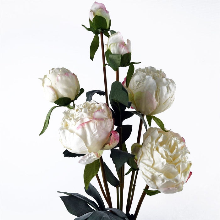 Premium Cream Peony Artificial Flower Stems - 6 Bundles, 24 Flowers, 18 Buds