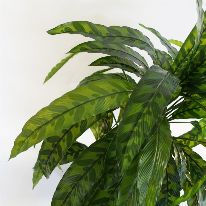 High-Quality 60cm Variegated Artificial Calathea Plant