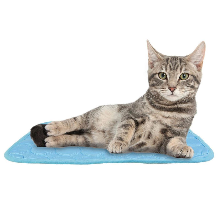 Premium ASAB Pet Cooling Mat 40x30cm - Trusted Quality!