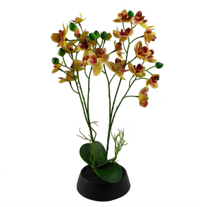 Premium Quality 43cm Pink Yellow Artificial Orchid in Ceramic Planter